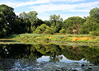 pecks mill pond in summer